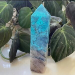 Phoenix Turquoise Tower
